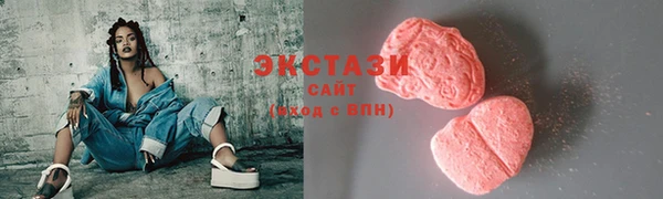 ECSTASY Ельня