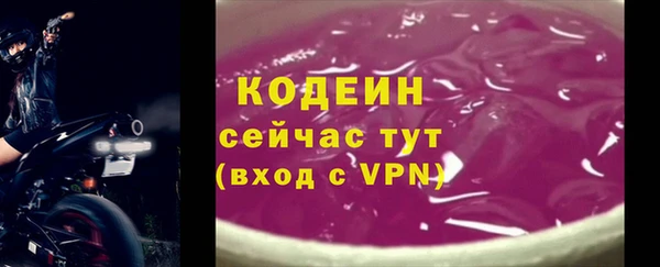 ECSTASY Ельня