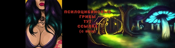 дурь Елабуга