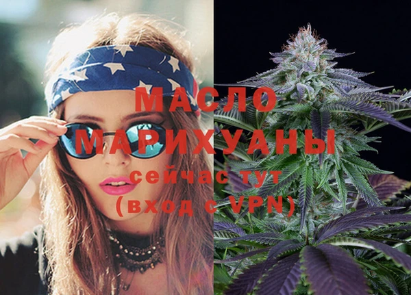 ECSTASY Ельня