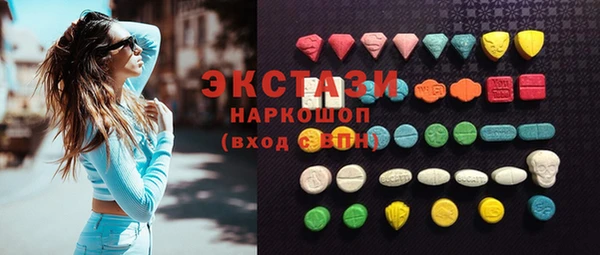 ECSTASY Ельня