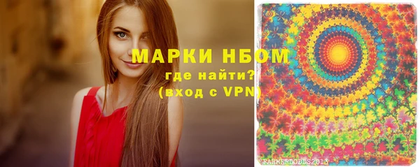 ECSTASY Ельня