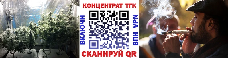 хочу   Волгодонск  omg как войти  Дистиллят ТГК THC oil 