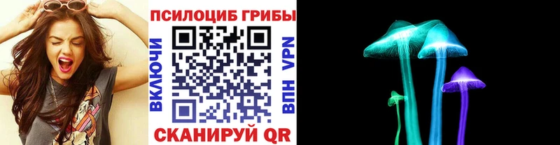 Галлюциногенные грибы Magic Shrooms Волгодонск