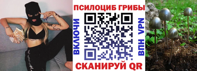 купить   Волгодонск  blacksprut как войти  Галлюциногенные грибы мухоморы 